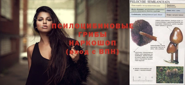 PSILOCYBIN Алзамай