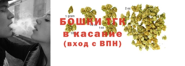 PSILOCYBIN Алзамай