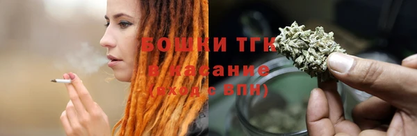 PSILOCYBIN Алзамай