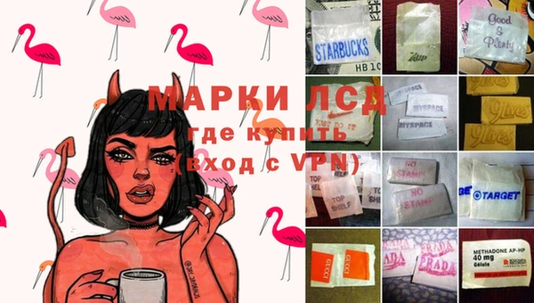 PSILOCYBIN Алзамай