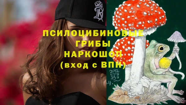 герыч Алексин