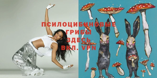 герыч Алексин